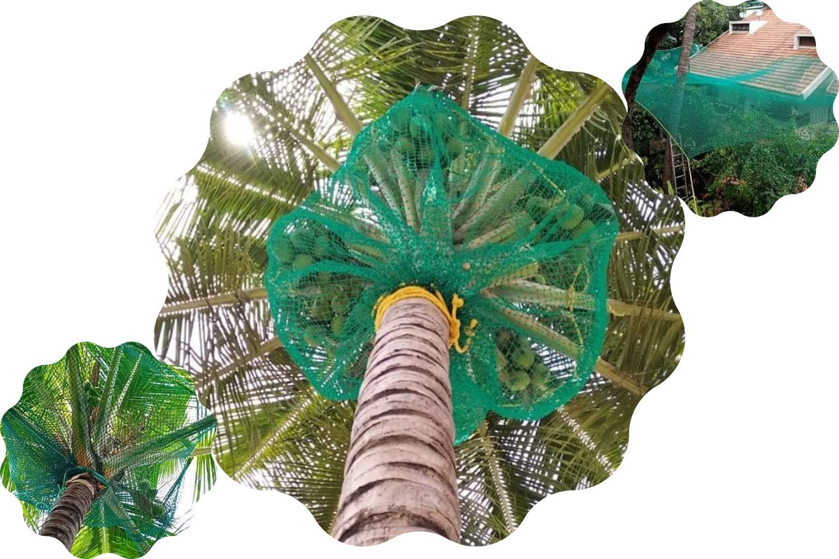 Coconut Tree Protection Nets Near Me in Bangalore