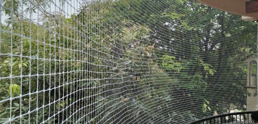 Pigeon Nets, Pigeon Nets installation, Pigeon Nets Near Me, Pigeon Netting Service